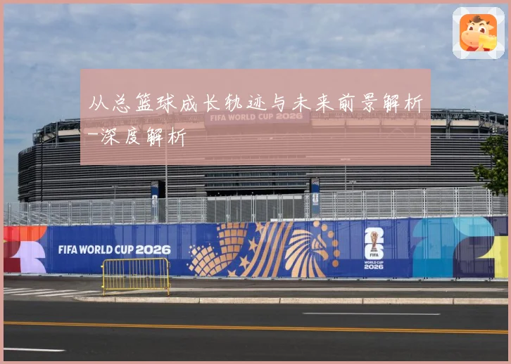 从总篮球成长轨迹与未来前景解析-深度解析